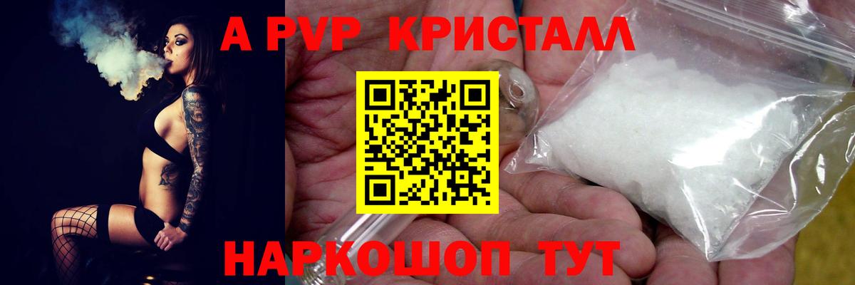 A-PVP СК КРИС Волхов