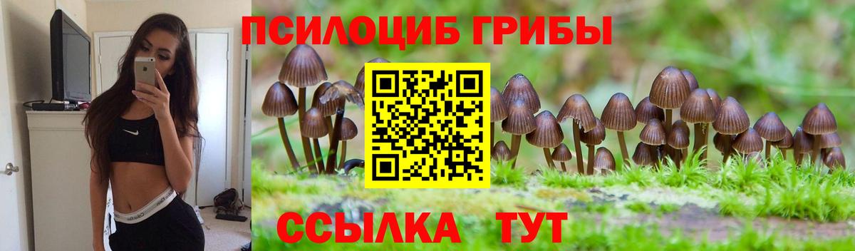 Галлюциногенные грибы Psilocybine cubensis  Вход с VPN  магазин    Волхов 